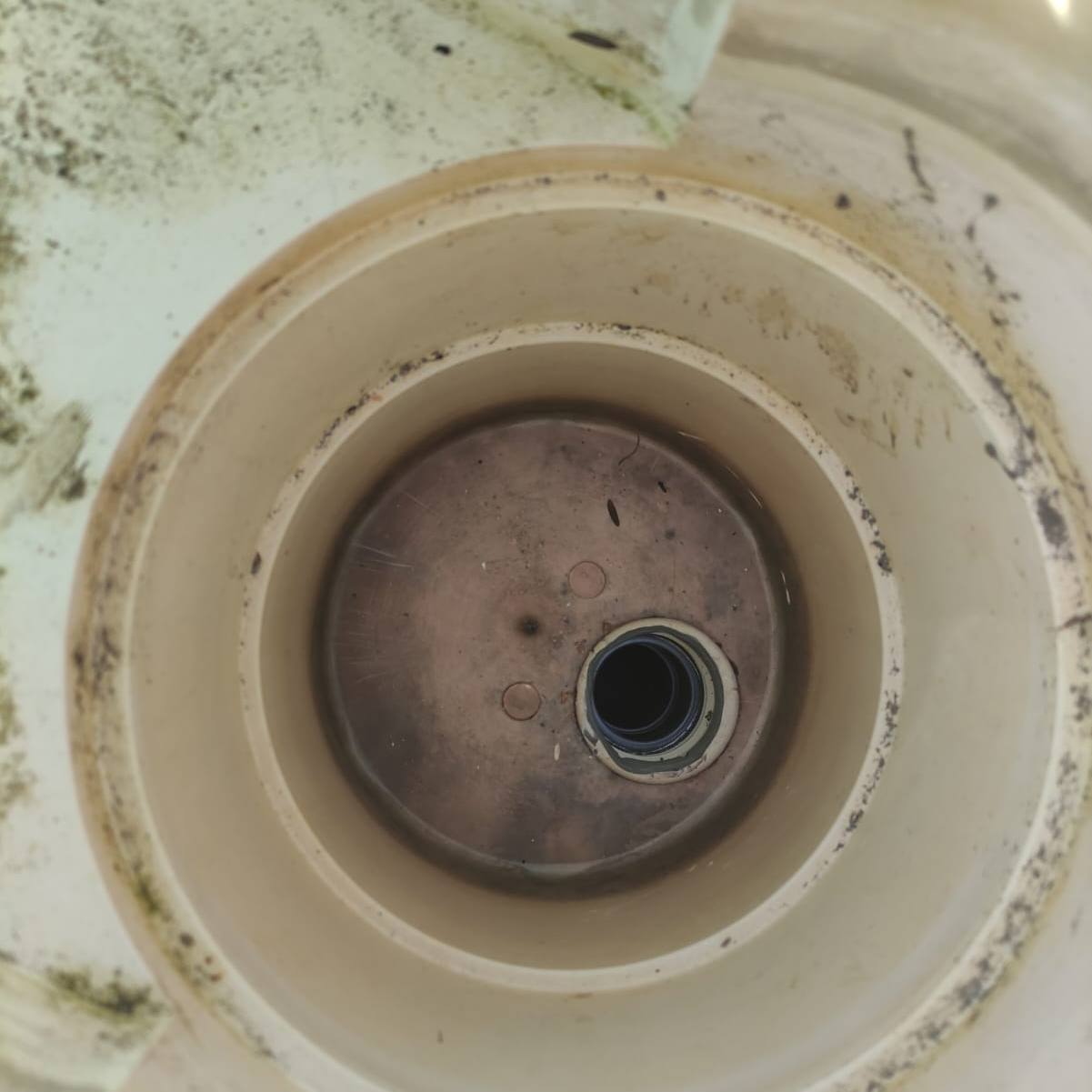 WhatsApp Image 2025 09 18 at 07.46.40