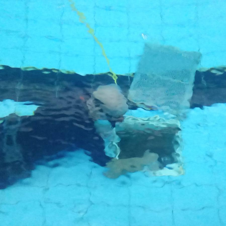 WhatsApp Image 2025 09 18 at 07.46.42 (2)